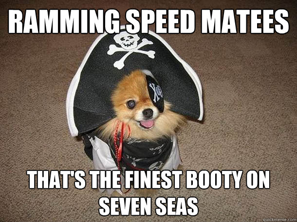 Ramming speed matees That's the finest booty on seven seas - Ramming speed matees That's the finest booty on seven seas  Inappropriate Sexual Innuendo Dog That Talks and Dresses Like a Pirate