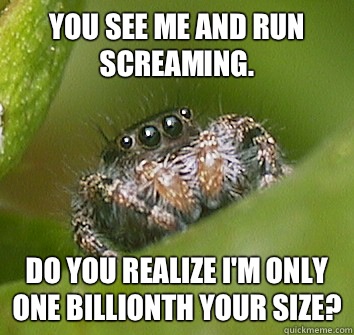 You see me and run screaming. Do you realize I'm only one billionth your size?  Misunderstood Spider