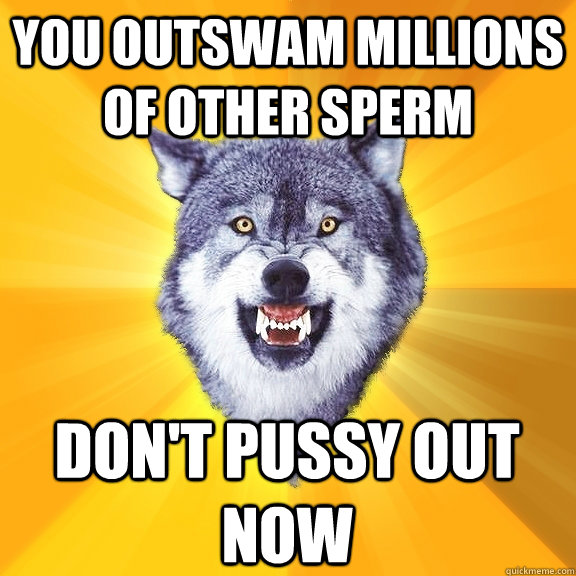 you outswam millions of other sperm don't pussy out now  Courage Wolf