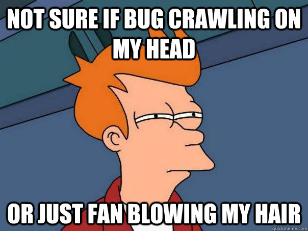 not sure if bug crawling on my head or just fan blowing my hair  Futurama Fry