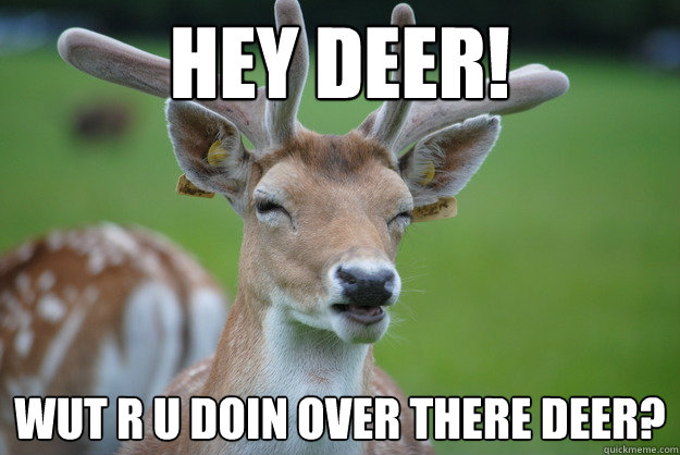 Hey Deer! Wut r u doin over there deer? - Hey Deer! Wut r u doin over there deer?  Deer Fry