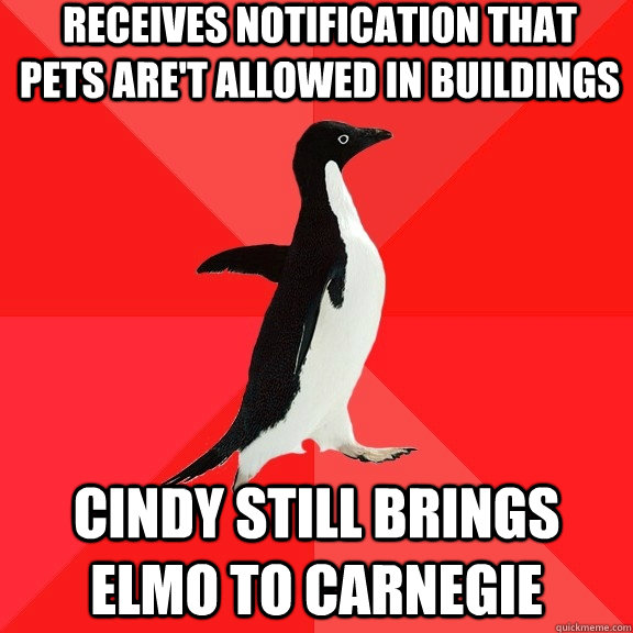 Receives notification that pets are't allowed in buildings Cindy still brings elmo to Carnegie  Socially Awesome Penguin