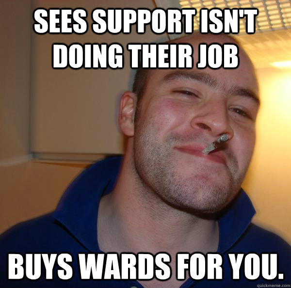 Sees support isn't doing their job buys wards for you. - Sees support isn't doing their job buys wards for you.  Misc