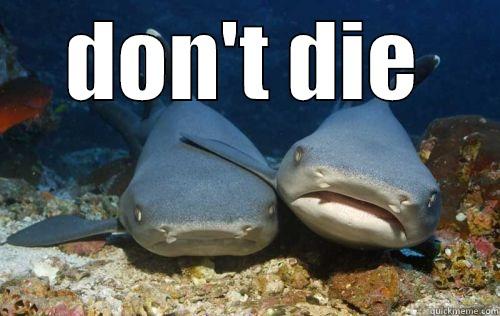 DON'T DIE  Compassionate Shark Friend