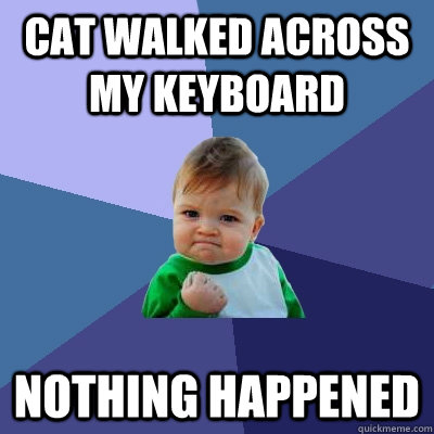 Cat walked across my keyboard nothing happened  Success Kid