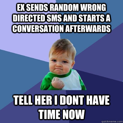 Ex sends random wrong directed sms and starts a conversation afterwards Tell her i dont have time now  Success Kid