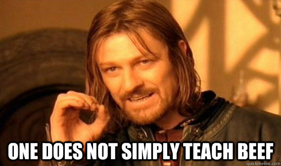  One does not simply teach beef  