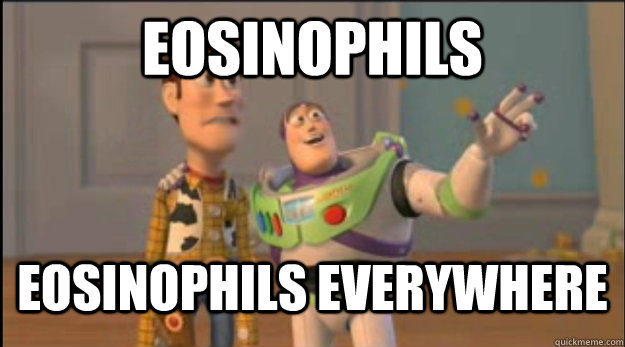 eosinophils eosinophils everywhere - eosinophils eosinophils everywhere  Misc