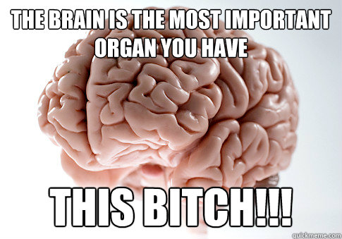 The brain is the most important organ you have THIS BITCH!!!  Scumbag Brain