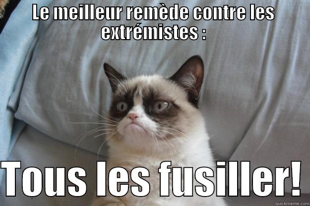 LE MEILLEUR REMÈDE CONTRE LES EXTRÉMISTES :  TOUS LES FUSILLER! Grumpy Cat