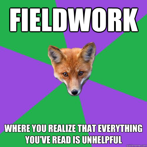 fieldwork where you realize that everything you've read is unhelpful  Anthropology Major Fox