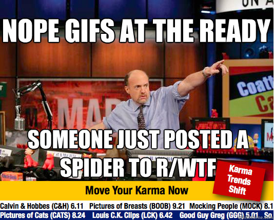 Nope gifs at the ready someone just posted a spider to r/wtf - Nope gifs at the ready someone just posted a spider to r/wtf  Mad Karma with Jim Cramer