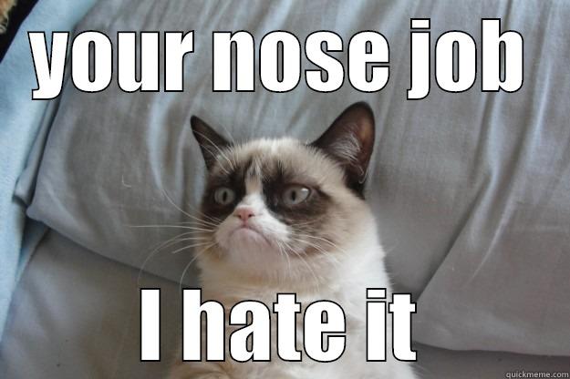 YOUR NOSE JOB I HATE IT Grumpy Cat