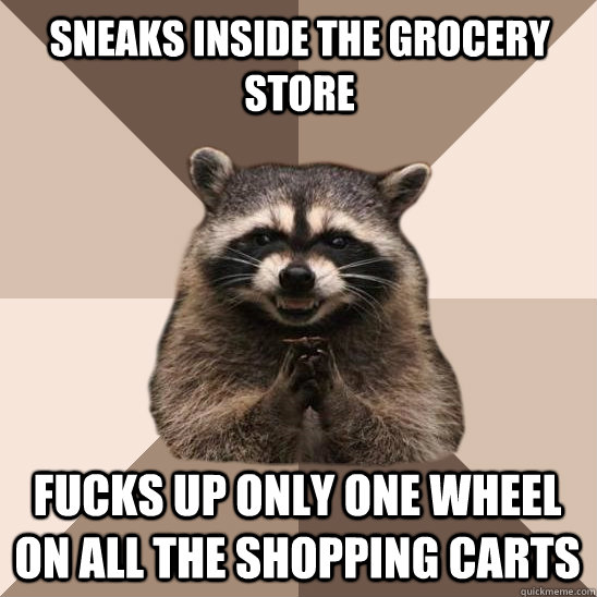 Sneaks inside the grocery store fucks up only one wheel on all the shopping carts  Evil Plotting Raccoon