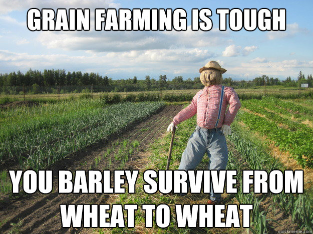 grain farming is tough you barley survive from wheat to wheat  Scarecrow