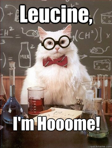 Leucine, I'm Hooome! - Leucine, I'm Hooome!  Chemistry Cat