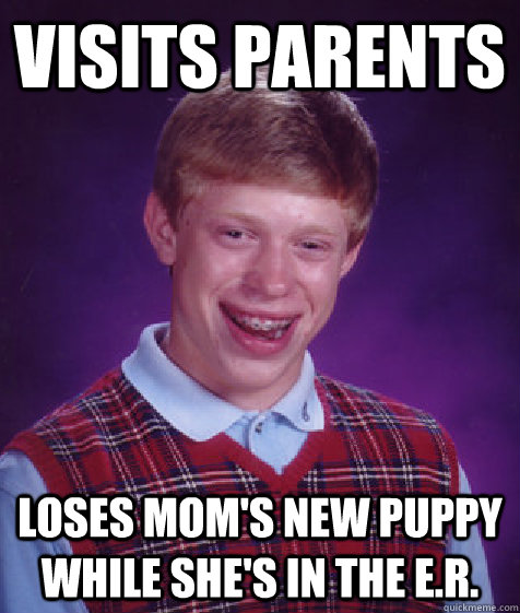 Visits parents  loses mom's new puppy while she's in the E.R.  Bad Luck Brian