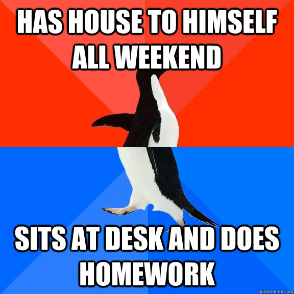 has house to himself all weekend Sits at desk and does homework  Socially Awesome Awkward Penguin