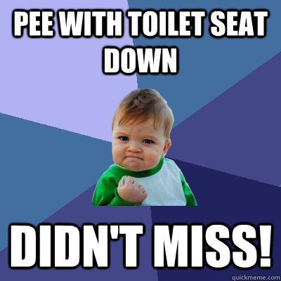 pee with toilet seat down Didn't miss! - pee with toilet seat down Didn't miss!  Success Kid