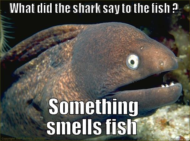 Just no ... - WHAT DID THE SHARK SAY TO THE FISH ? SOMETHING SMELLS FISH  Bad Joke Eel