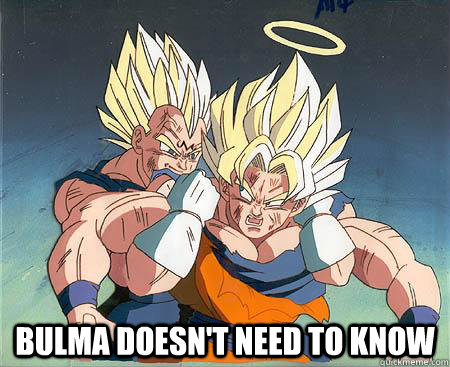  bulma doesn't need to know  Gay Vegeta