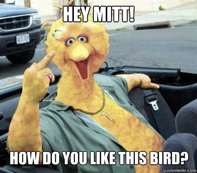 Hey Mitt! How do you like this bird?  Big Bird