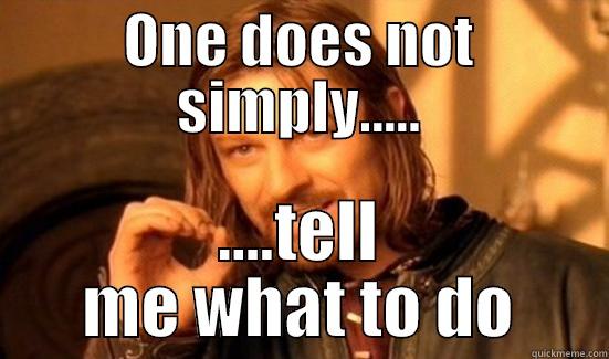 ONE DOES NOT SIMPLY..... ....TELL ME WHAT TO DO Boromir