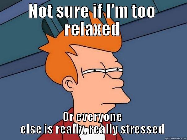 NOT SURE IF I'M TOO RELAXED OR EVERYONE ELSE IS REALLY, REALLY STRESSED Futurama Fry