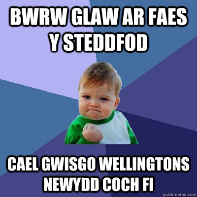 Bwrw glaw ar faes y steddfod cael gwisgo wellingtons newydd coch fi  Success Kid