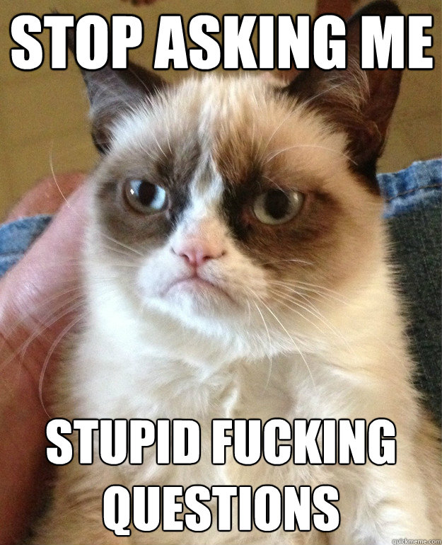 stop asking me stupid fucking questions  Grumpy Cat