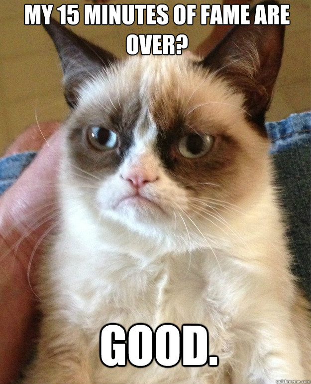 My 15 Minutes of fame are over? Good.  Grumpy Cat