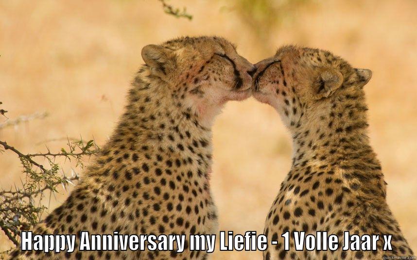 my liefie -  HAPPY ANNIVERSARY MY LIEFIE - 1 VOLLE JAAR X Misc