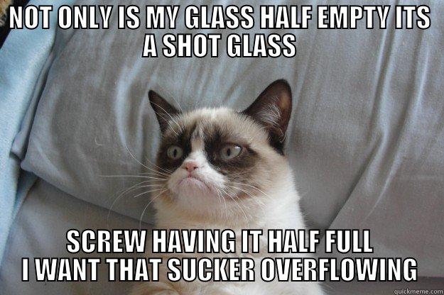 HALF EMPTY SHOT GLASS - NOT ONLY IS MY GLASS HALF EMPTY ITS A SHOT GLASS SCREW HAVING IT HALF FULL I WANT THAT SUCKER OVERFLOWING Grumpy Cat