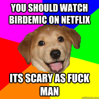 You should watch birdemic on netflix its scary as fuck man  Advice Dog