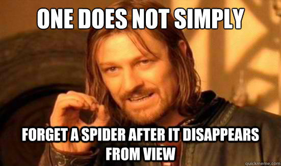 One Does Not Simply forget a spider after it disappears from view - One Does Not Simply forget a spider after it disappears from view  Boromir