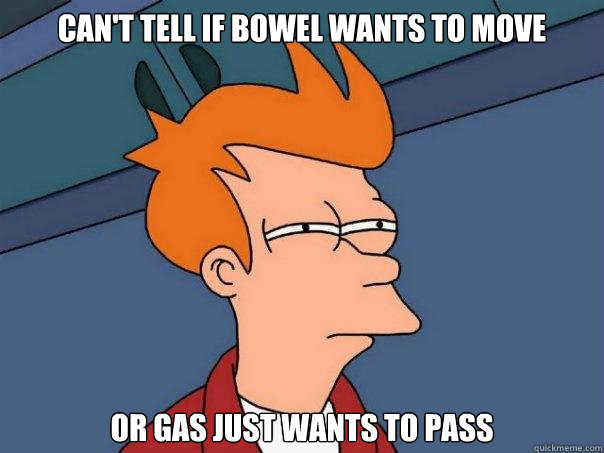 Can't tell if Bowel wants to move Or gas just wants to pass  Futurama Fry