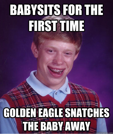 Babysits for the first time Golden eagle snatches the baby away  Bad Luck Brian