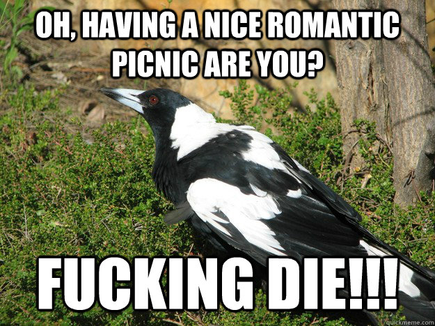 Oh, having a nice romantic picnic are you? FUCKING DIE!!!  Schizophrenic Magpie