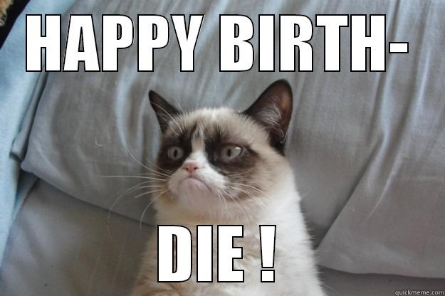 HAPPY BIRTH- DIE ! Grumpy Cat