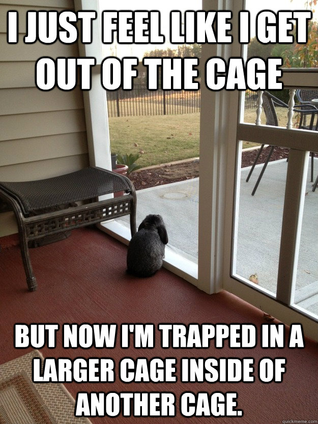 I just feel like I get out of the cage But now I'm trapped in a larger cage inside of another cage. - I just feel like I get out of the cage But now I'm trapped in a larger cage inside of another cage.  Bummed Out Bunny