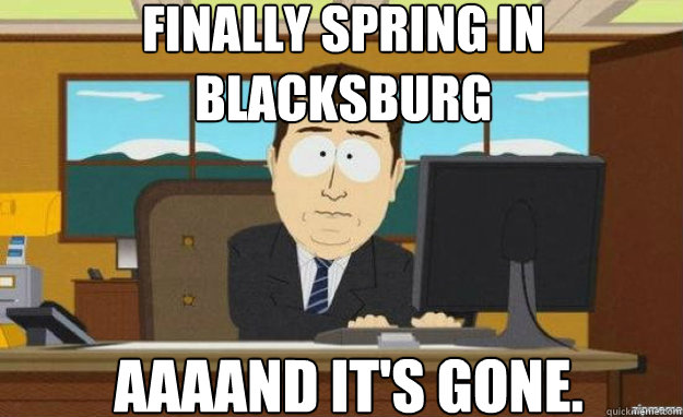 Finally spring in blacksburg AAAAND IT'S gone. Caption 3 goes here Caption 4 goes here - Finally spring in blacksburg AAAAND IT'S gone. Caption 3 goes here Caption 4 goes here  aaaand its gone