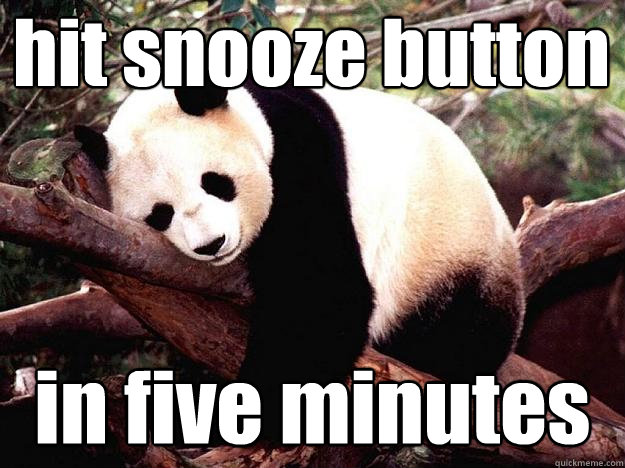 hit snooze button in five minutes  Procrastination Panda