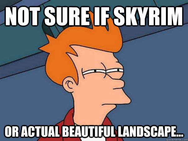 Not sure if Skyrim or actual beautiful landscape...  Futurama Fry