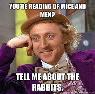 You're reading Of Mice and Men? Tell me about the rabbits. - You're reading Of Mice and Men? Tell me about the rabbits.  Condescending Wonka