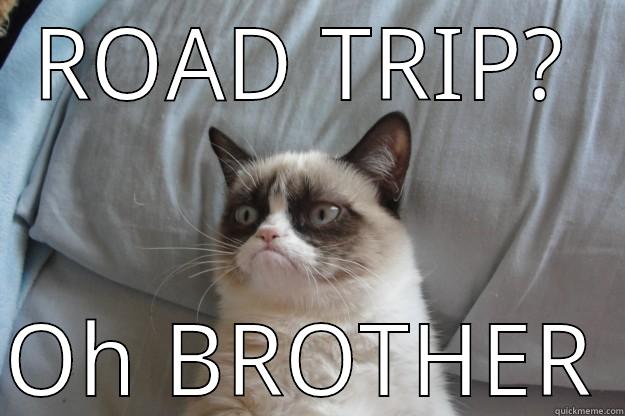 ROAD TRIP? OH BROTHER Grumpy Cat