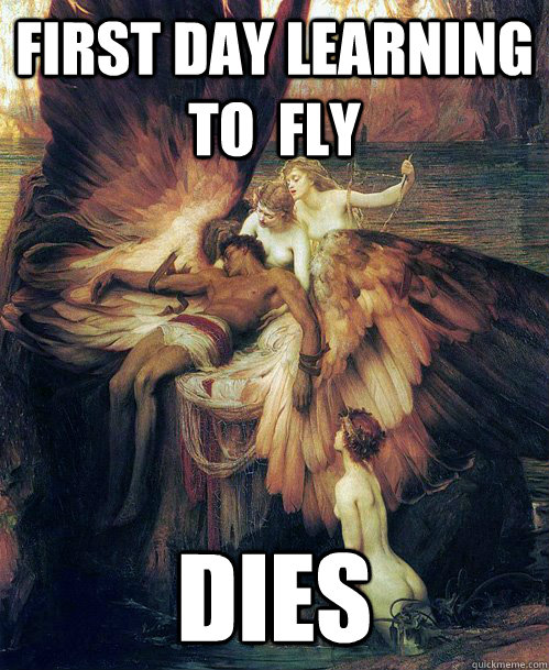 First Day learning to  Fly Dies - First Day learning to  Fly Dies  Freshman Icarus