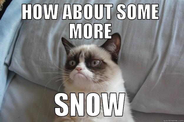 grumpy says - HOW ABOUT SOME MORE SNOW Grumpy Cat