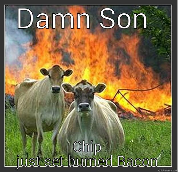 say somethin - DAMN SON  CHIP JUST SET BURNED BACON Evil cows