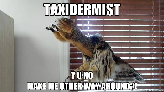 TAXIDERMIST Y U NO 
MAKE ME OTHER WAY AROUND?! - TAXIDERMIST Y U NO 
MAKE ME OTHER WAY AROUND?!  Damn You, Taxidermist!!