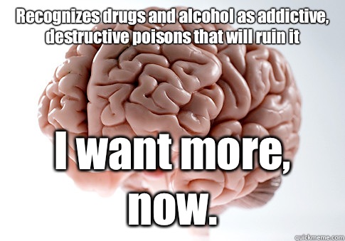 Recognizes drugs and alcohol as addictive, destructive poisons that will ruin it I want more, now. - Recognizes drugs and alcohol as addictive, destructive poisons that will ruin it I want more, now.  Scumbag Brain